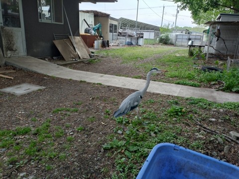 20260424_150716_copy_800x600