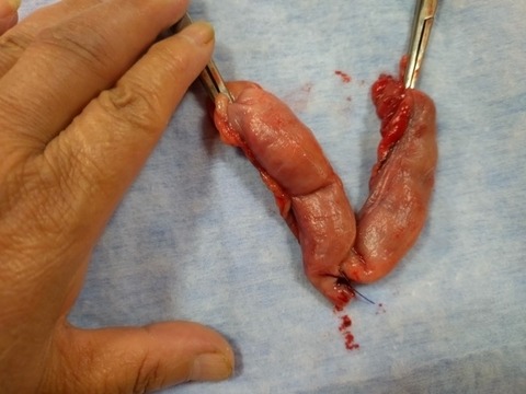 20251026_180705_copy_800x600