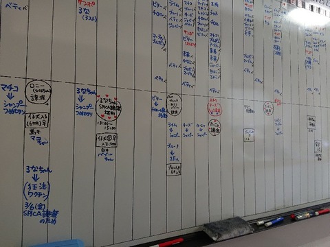 DSC_6240_copy_800x600