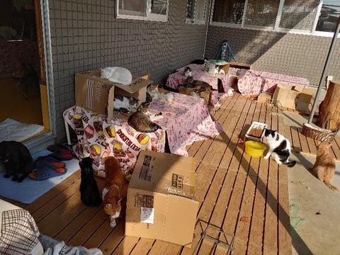 DSC_1284_copy_800x600