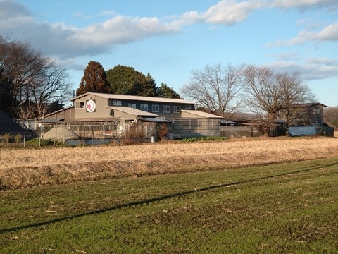 DSC_0000_BURST20251227151735447_COVER_copy_816x612