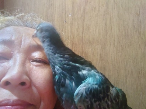 20230901_092440_copy_800x600