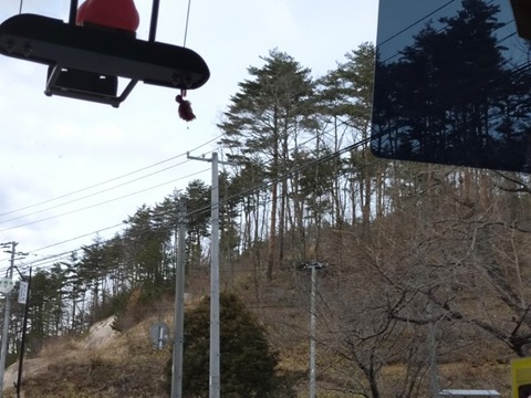 20260313_152231_copy_800x600