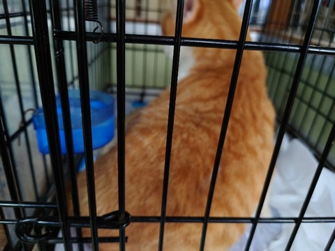 20220713_160750_copy_800x600