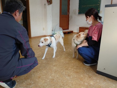 DSC_0853_copy_800x600