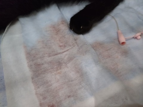 20250925_163426_copy_800x600