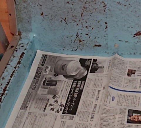 DSC_4730_crop_341x309-800x725