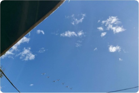 20231119_092726_copy_2994x2005