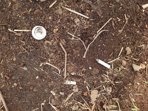 DSC_5997_copy_800x600