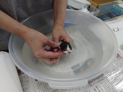 DSC_1749_copy_800x600