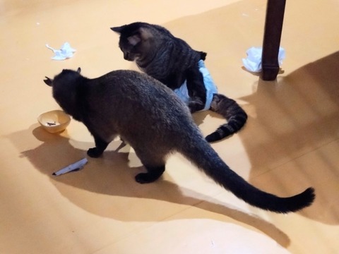 20260224_075203~2_copy_800x600