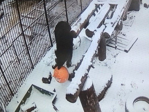 20260208_074713_copy_800x600