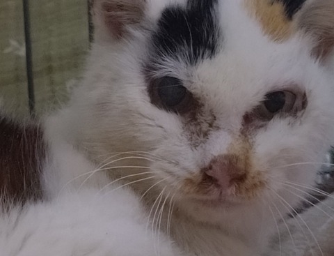 20260103_164159_copy_804x614