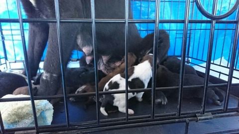 1519952144429-800x450