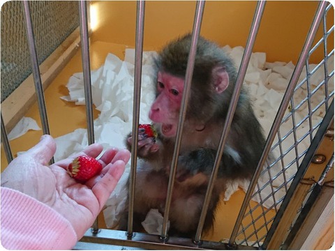 DSC_6652_copy_3200x2448