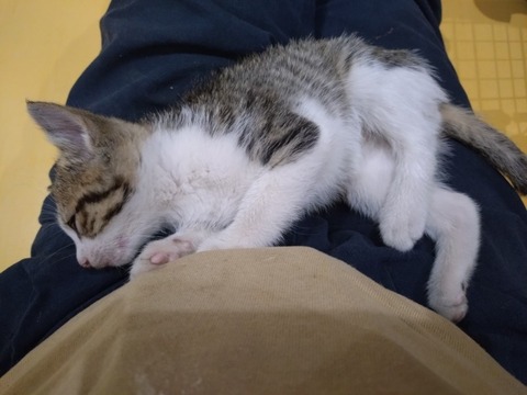 20250627_132545_copy_800x600