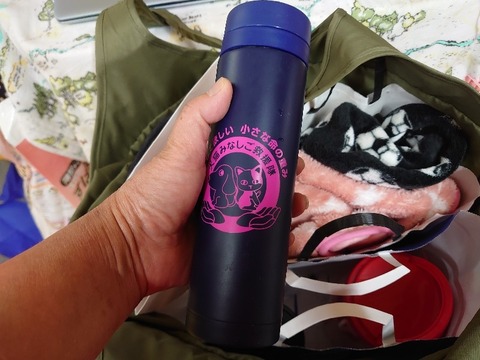 DSC_5630_copy_800x600