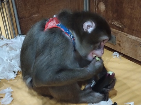 20251212_202650_copy_816x612