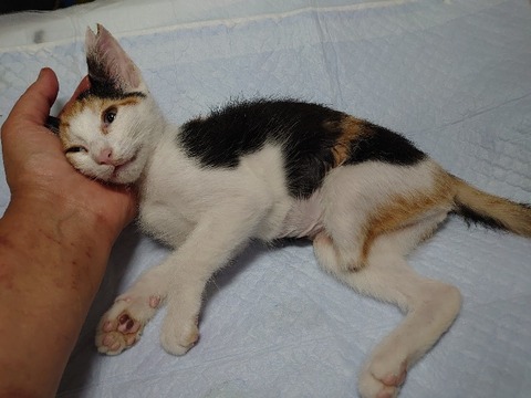 DSC_0023_copy_800x600