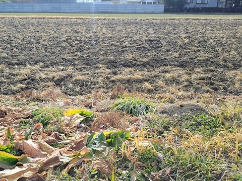 20260210_091718~2_copy_800x600