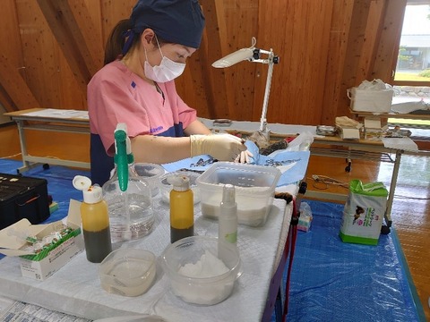 DSC_0017_copy_800x600