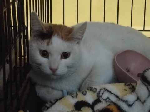 20260207_162414_copy_800x600