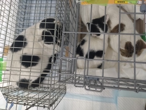 20260120_170401_copy_800x600