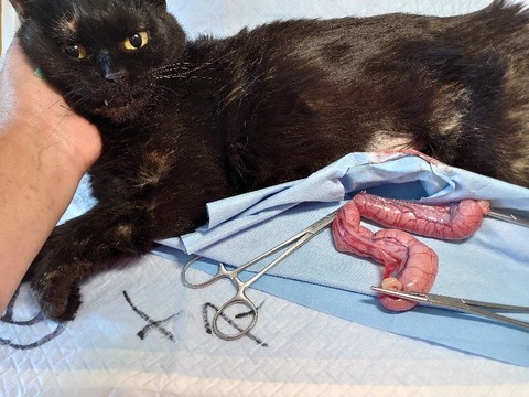 DSC_5672_copy_800x600