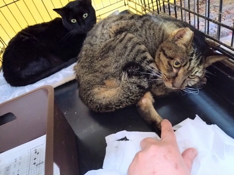 20260209_163843~2_copy_800x600