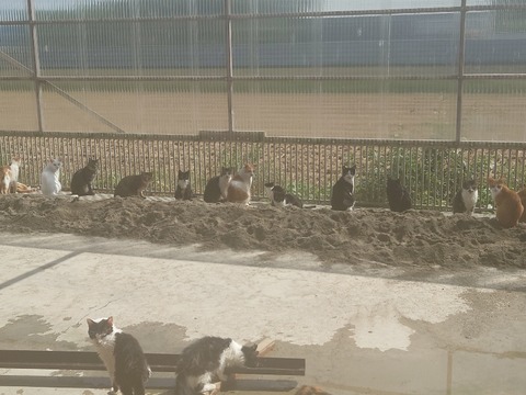 20221014_120052_copy_800x600