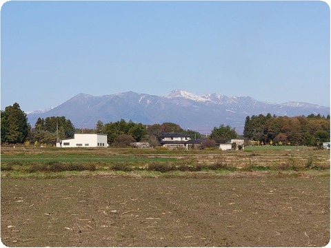 DSC_1163