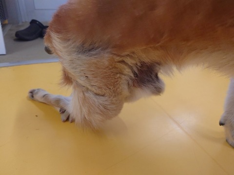 20240305_140057_copy_800x600