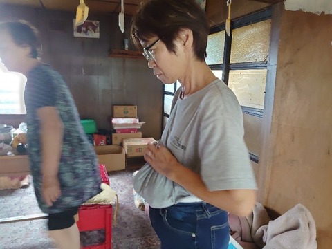 DSC_0344_copy_800x600