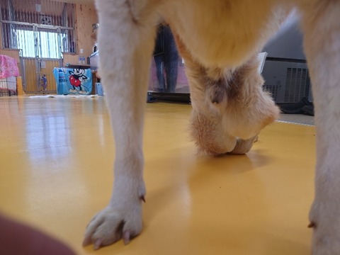 20240305_140238_copy_800x600