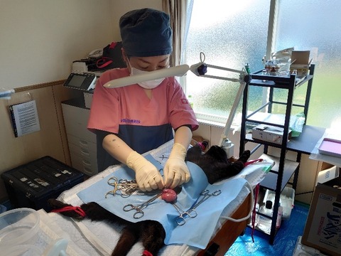 DSC_5665_copy_800x600