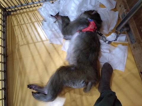 20251208_101004_copy_800x600