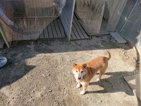 DSC_6046_copy_800x600