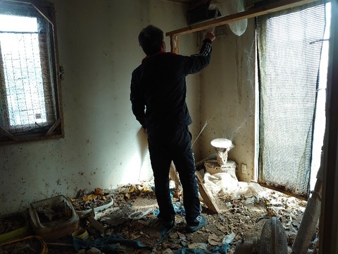 DSC_3323_copy_800x600