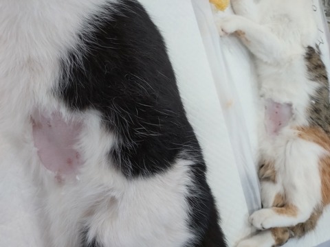 20251216_112804_copy_800x600