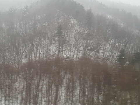 20240312_145536_copy_800x600