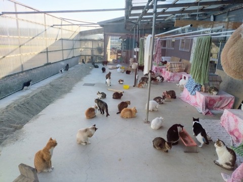 20260316_161703~2_copy_800x600