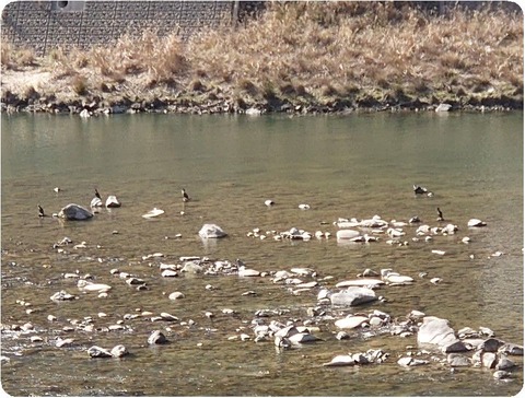 DSC_4409_copy_800x606