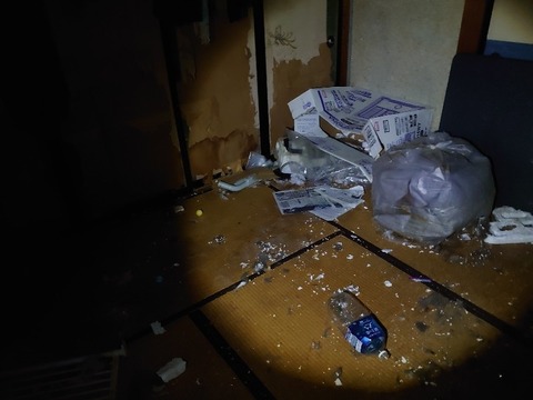 DSC_0032_copy_800x600