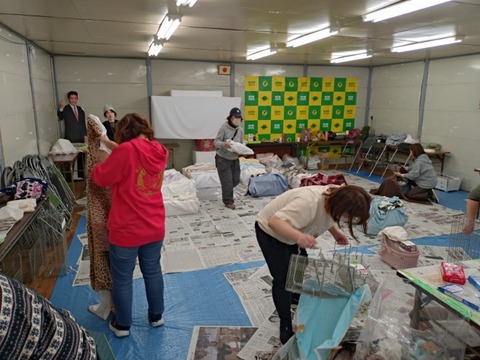 20251221_095315_copy_800x600