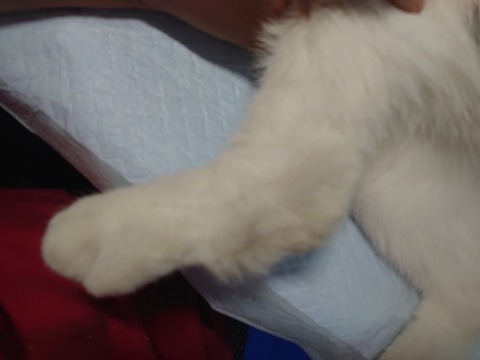 DSC_1305_copy_800x600