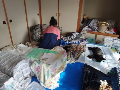 DSC_1039_copy_800x600