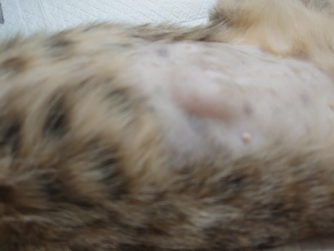 DSC_1670_copy_800x600