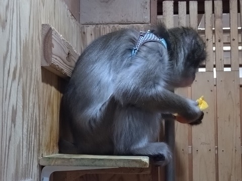 20260301_072059_copy_800x600