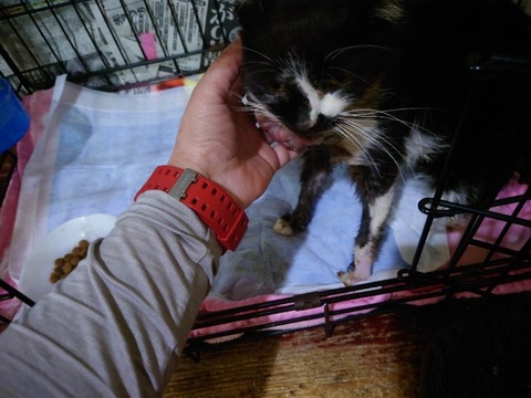 20230223_182708_copy_800x600