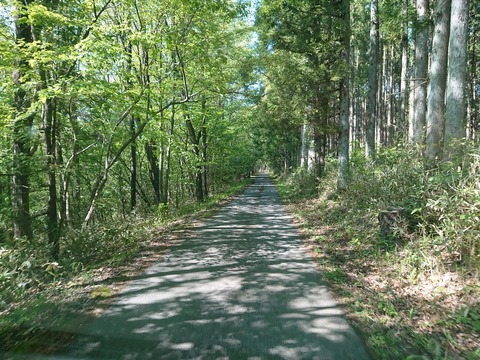 DSC_6883_copy_800x600